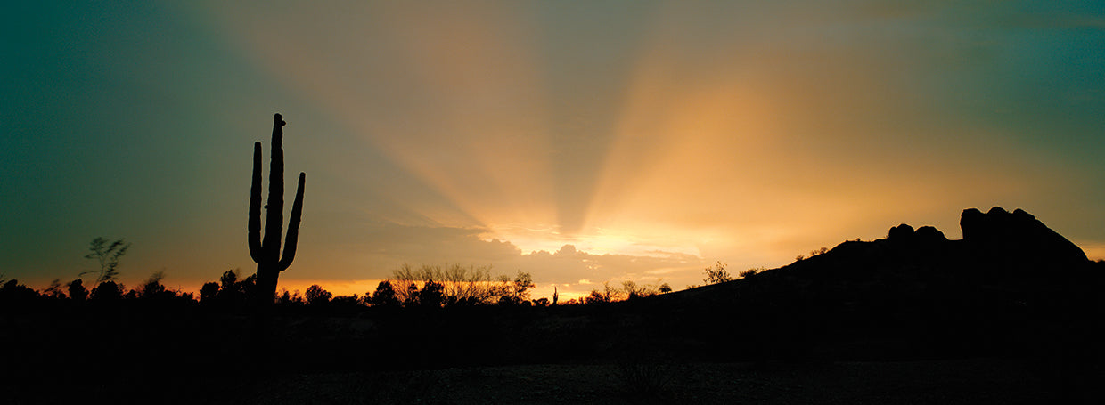 Rayos de sol del desierto Lienzo