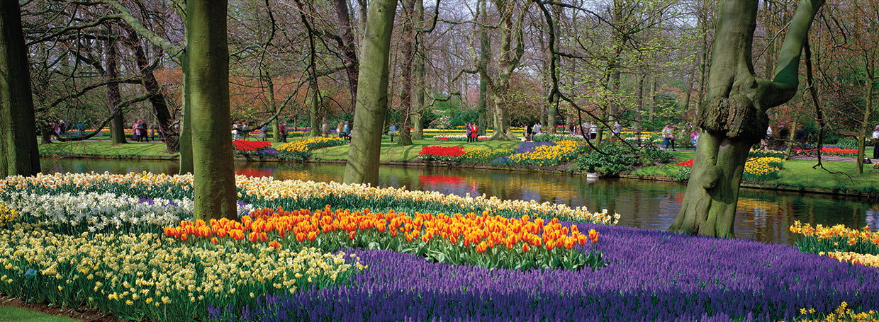 Jardín floreciente de Keukenhof Lienzo