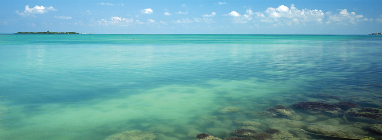Florida Keys Coral