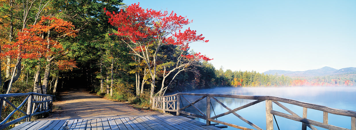 Red Leaves at Chocorua Lake