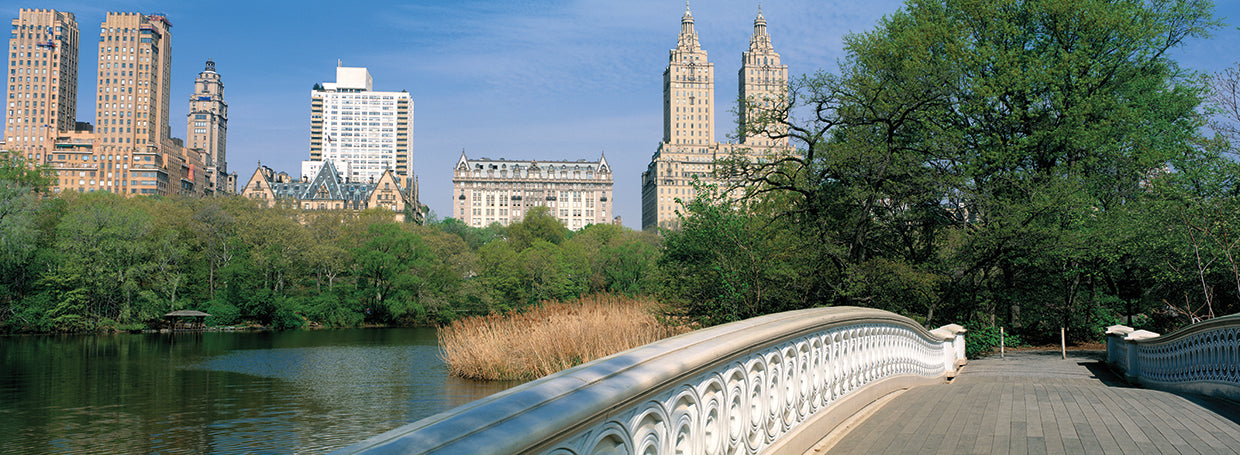 Bow Bridge en Central Park Lienzo