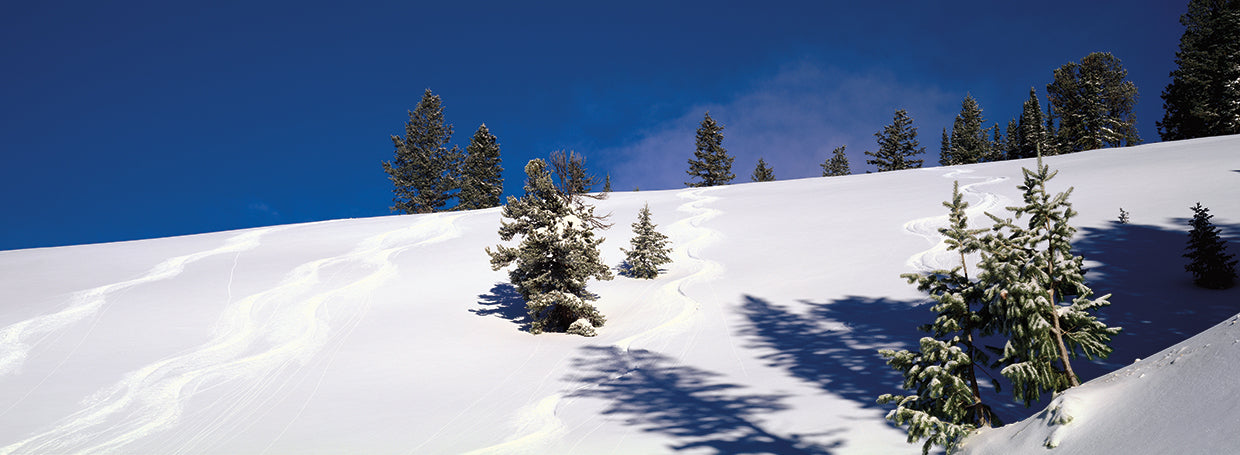 Jackson Hole Invierno Lienzo