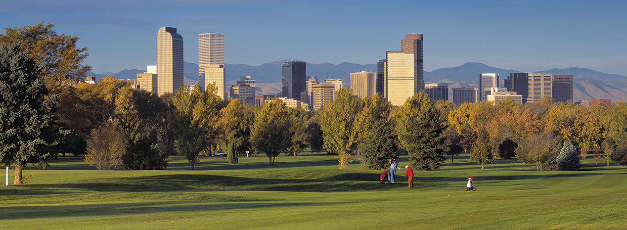 Denver Panorama