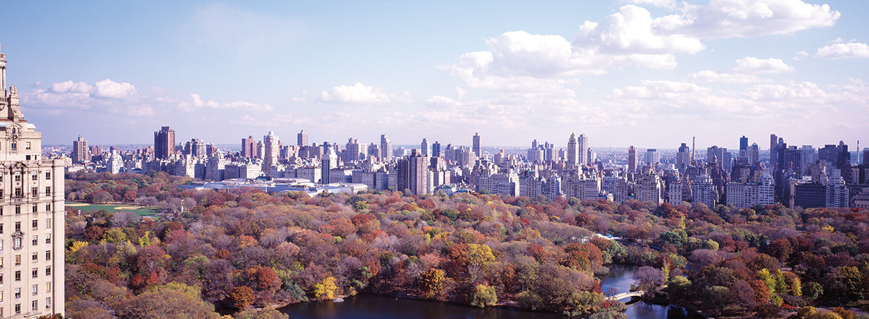 Central Park State