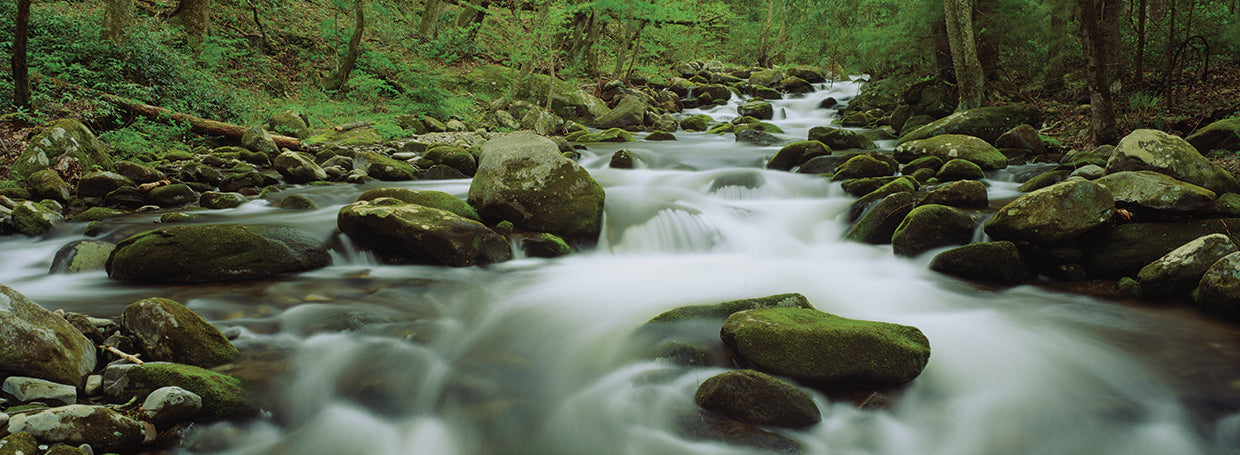 Arroyo de montaña ahumada Lienzo