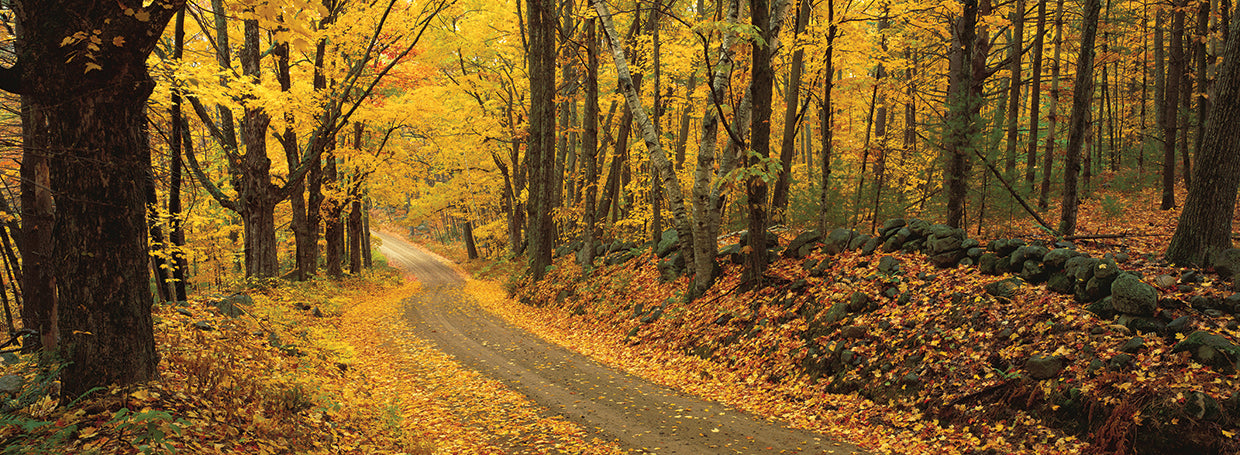 New Hampshire Fall