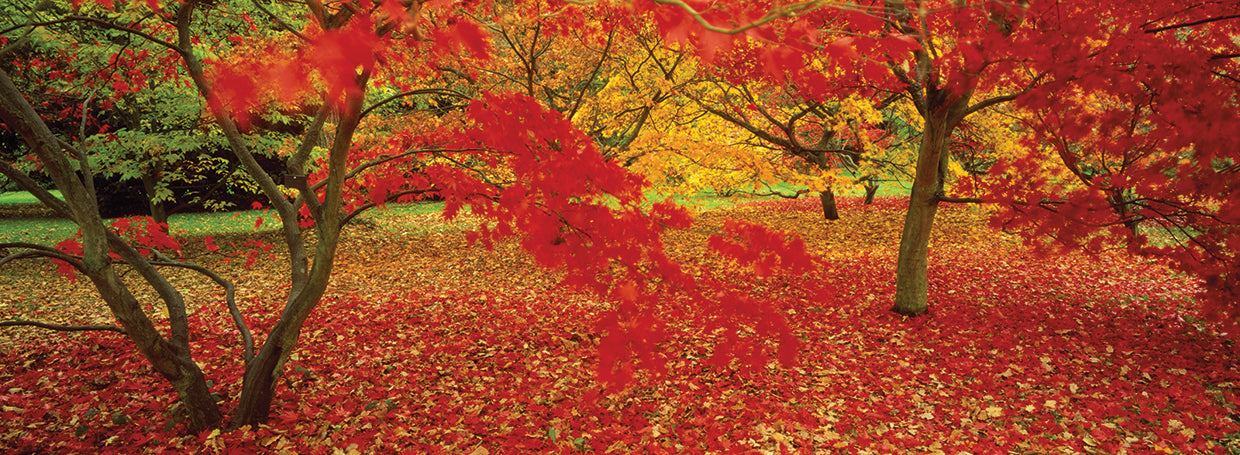 Autumn in Gloucestershire