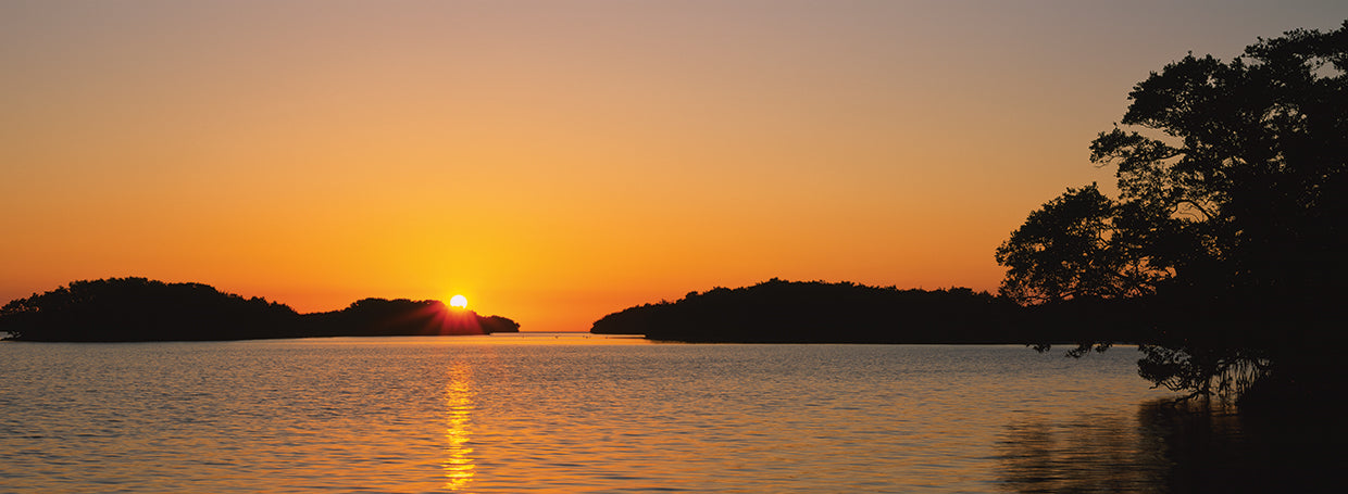Everglades Sunset