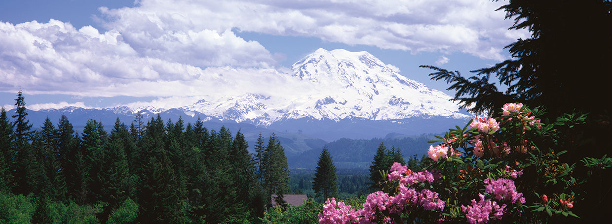 graham, washington Lienzo