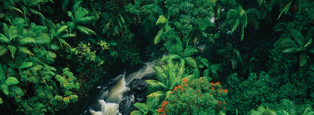 Cataratas de la costa de Hamakua Lienzo