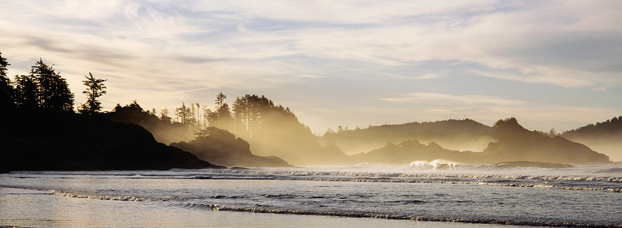 Misty Vancouver Sunrise