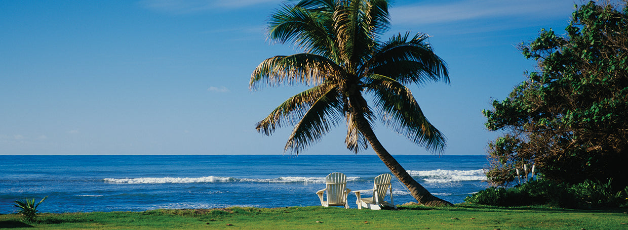 Adirondacks on the Beach