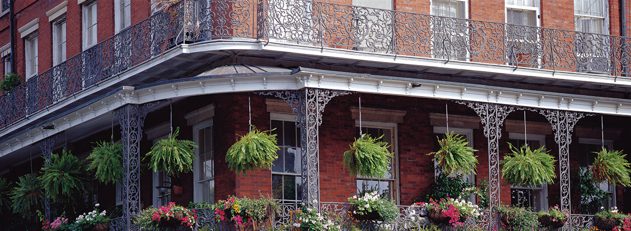 Hanging Plants in Jackson Square