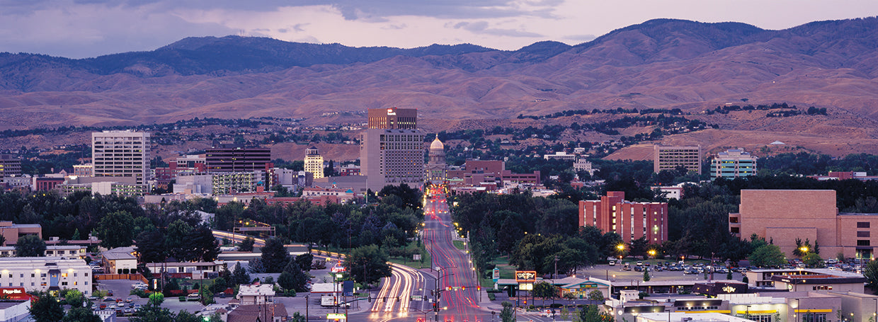 Boise desde arriba Lienzo
