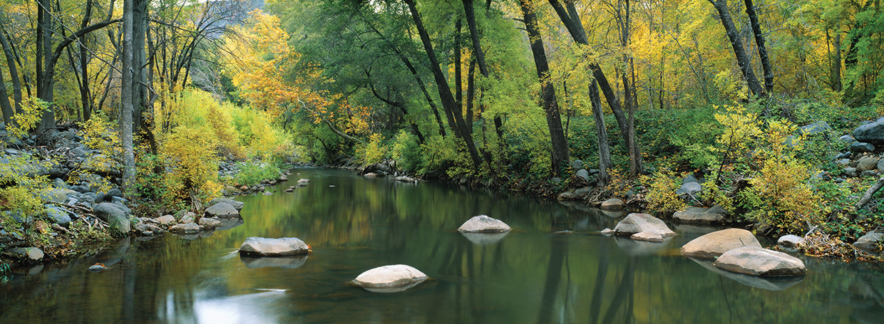 Stream through Cottonwood Canyon