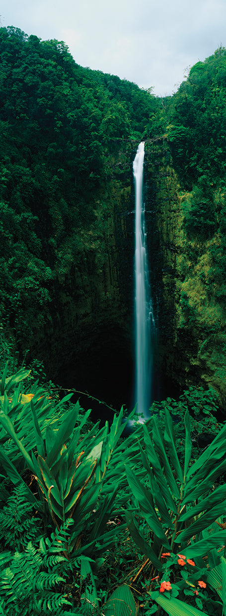 Belleza en Akaka Falls Lienzo