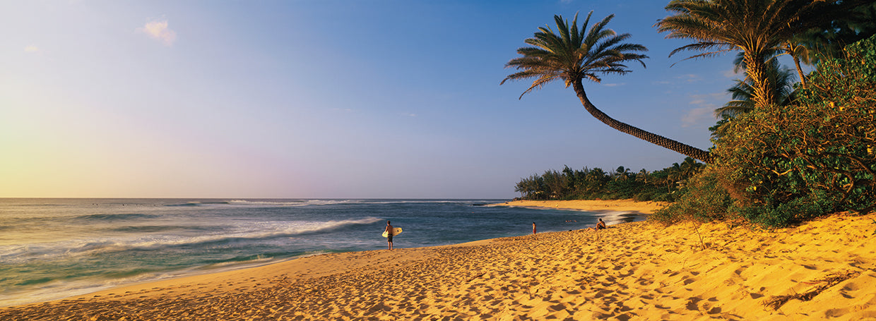 Persona que practica surf de la playa de Hawaii Lienzo