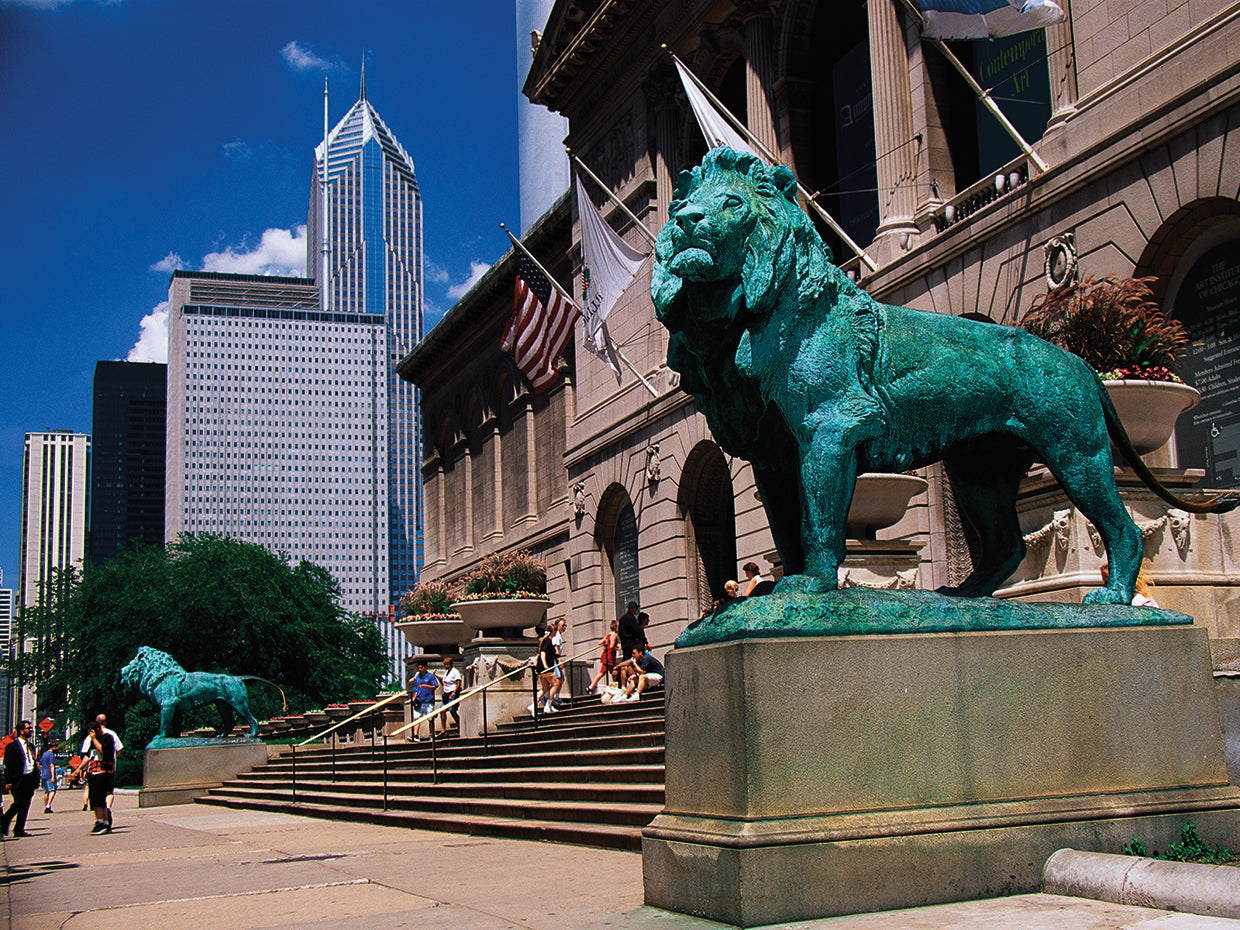 Instituto de Arte de Chicago Lienzo