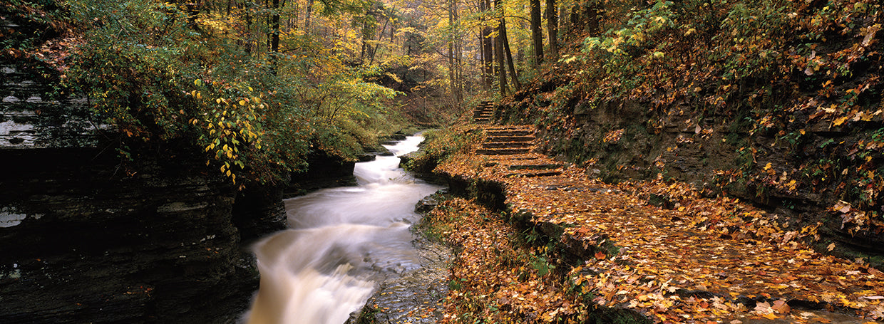Beautiful Buttermilk Creek