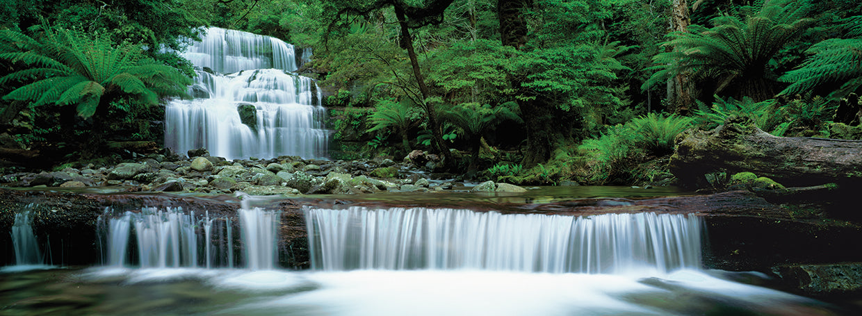Rushing Water Liffey Falls