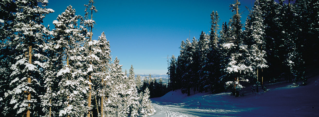 Pista de esquí de Colorado Lienzo