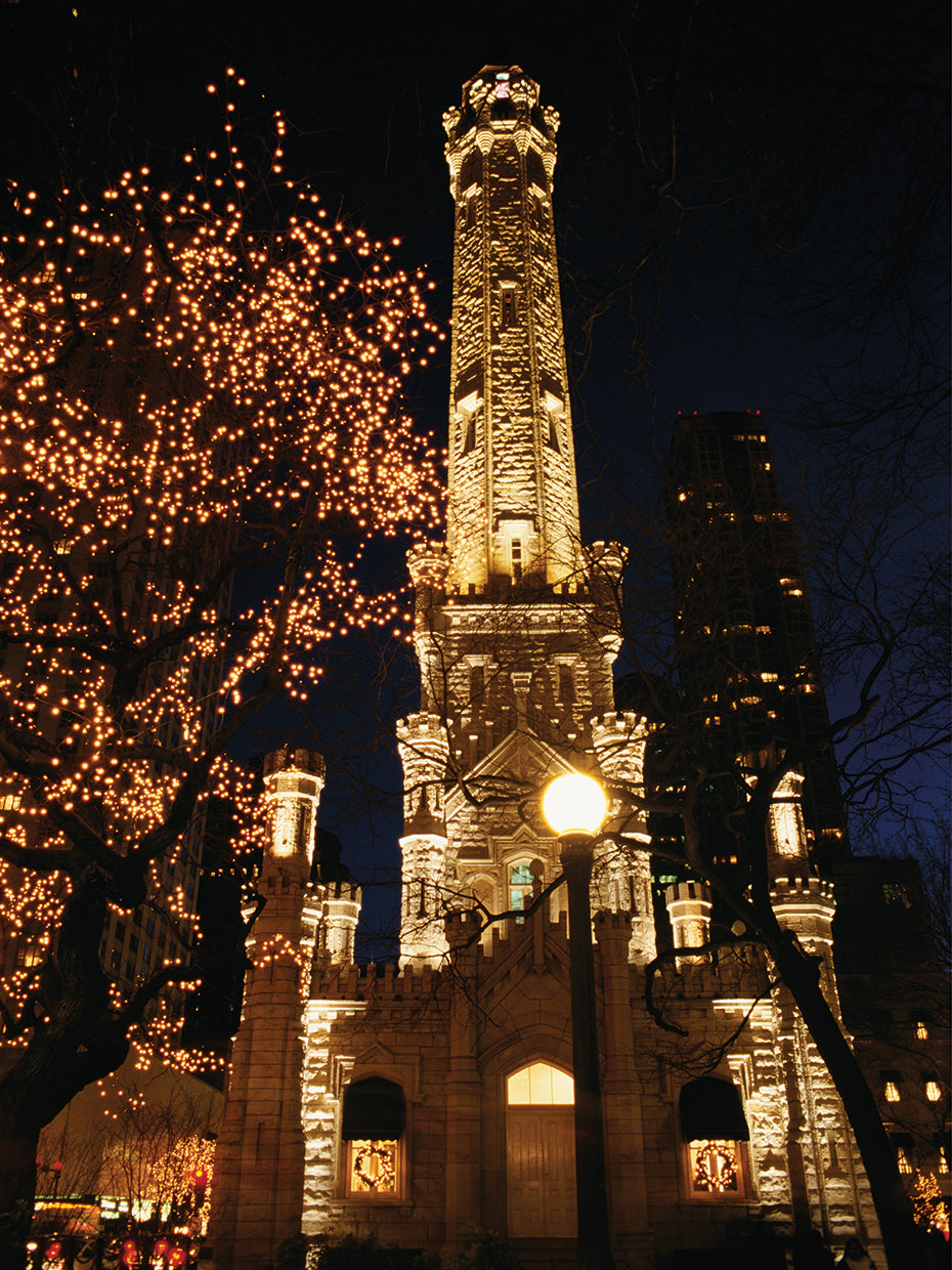 Old Water Tower, Chicago