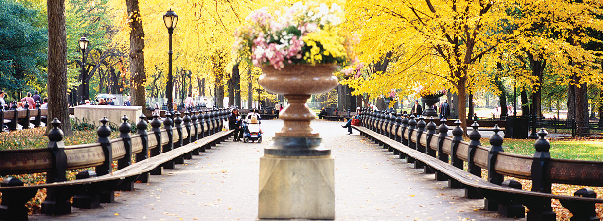 Flower Pots in Central Park