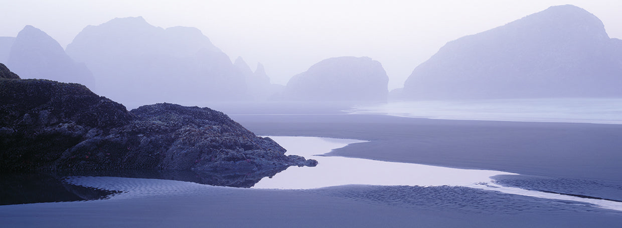 Niebla de la costa de Oregon Lienzo