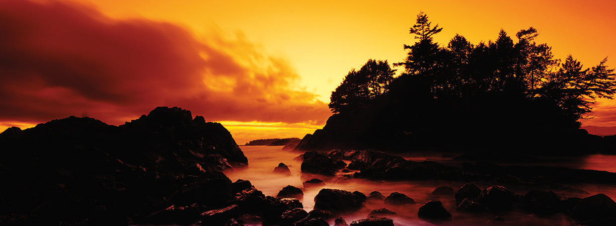 Vancouver Island Silhouettes