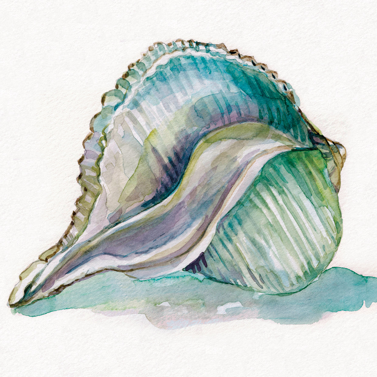 Malecón Shell I Lienzo