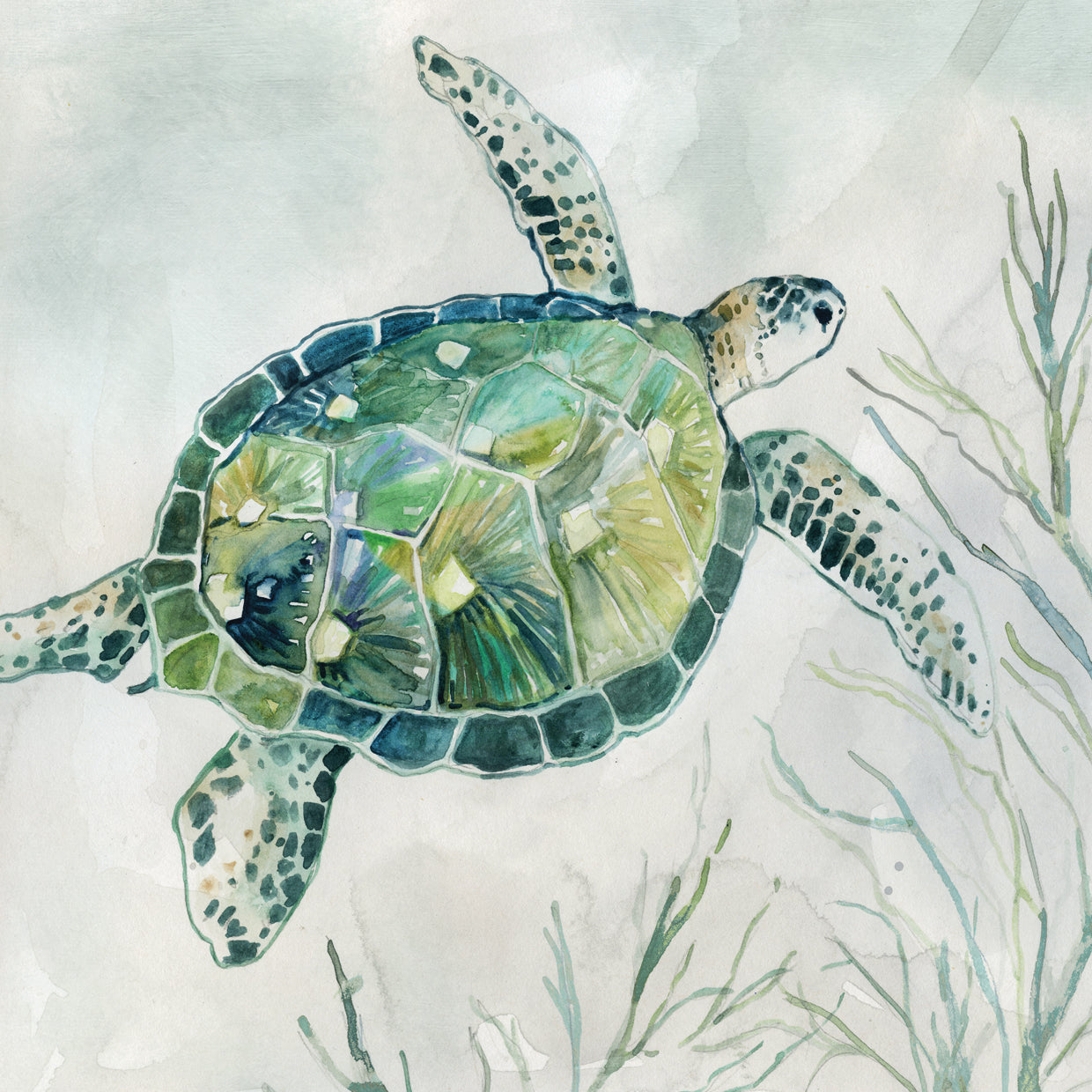 Seagrass Turtle I