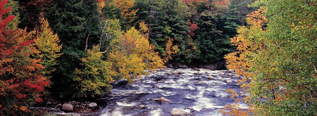 River in the Adirondack Mountains