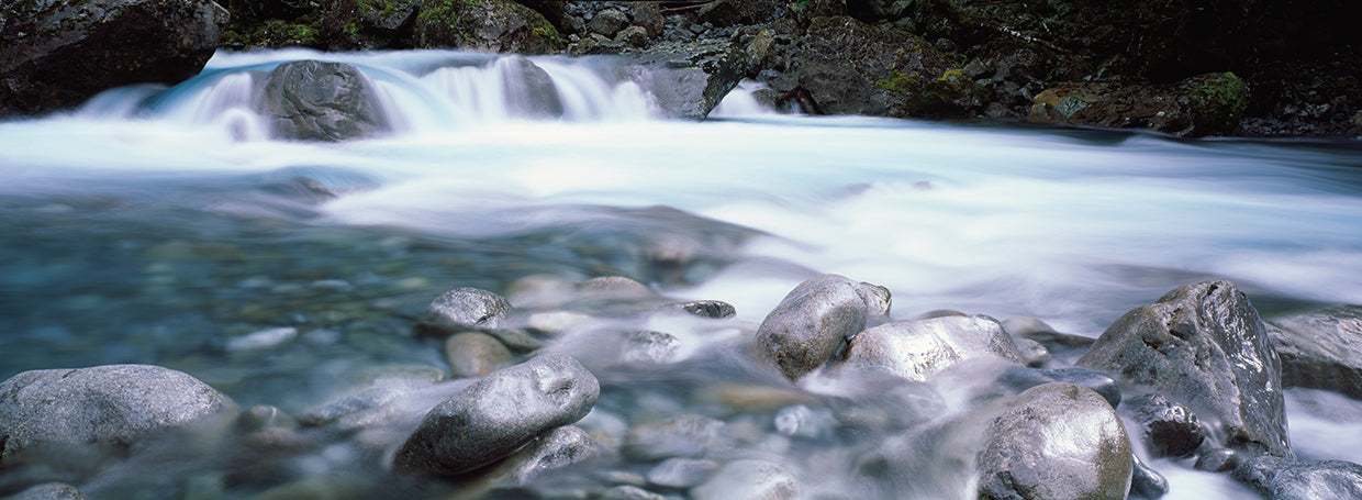 Río Hollyford, Nueva Zelanda Lienzo