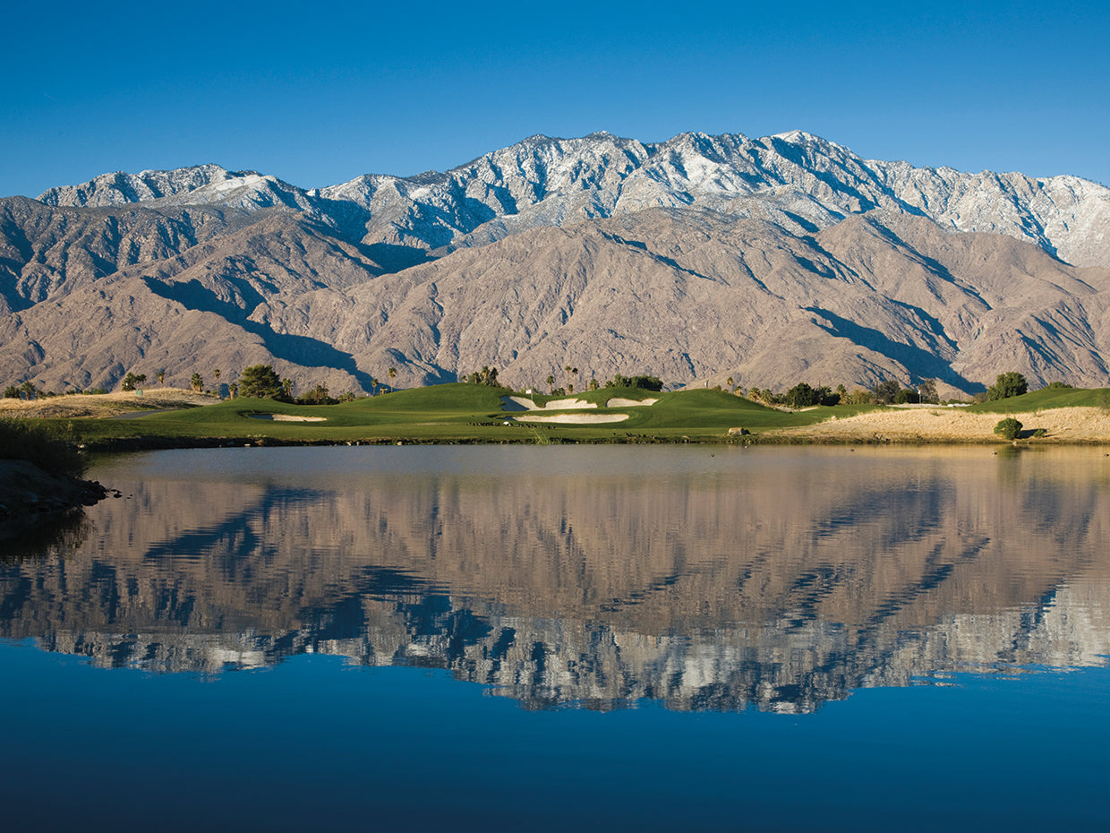 Reflections at Desert Princess