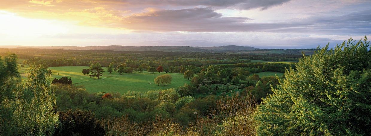 South Downs National Park
