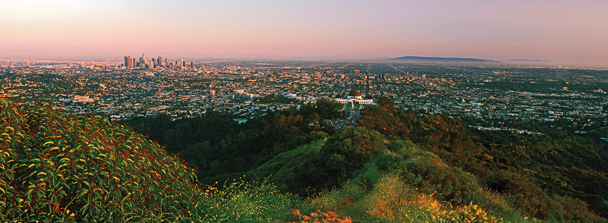Looking Onto Santa Monica