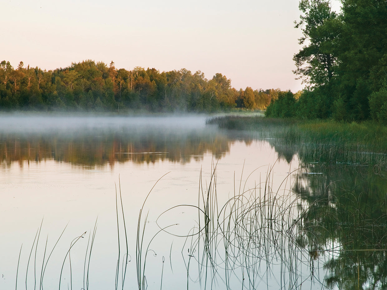 Morning Mist over Mink River