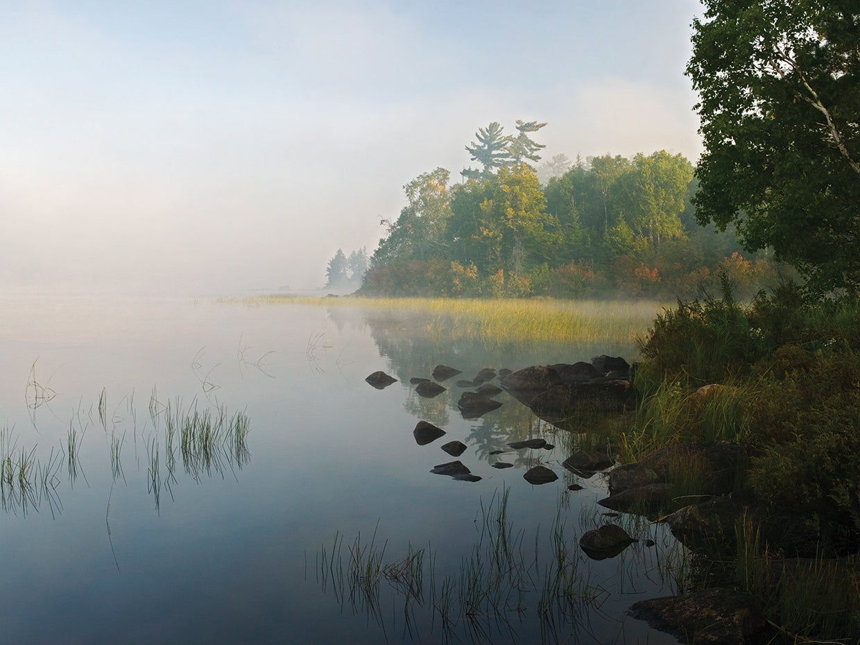 Lago brumoso Nina Moose Lienzo