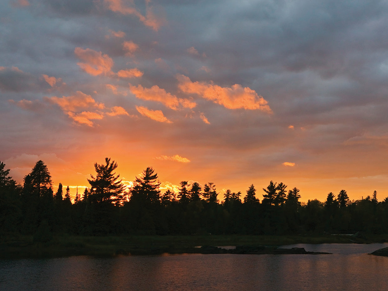 Sunset over Silhouetted Forest