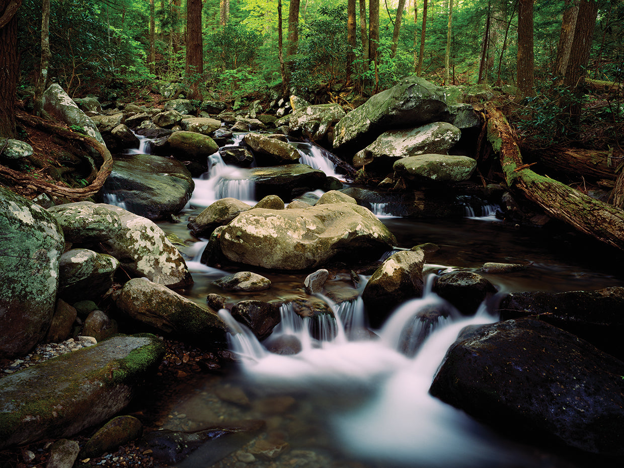 LeConte Creek Waters