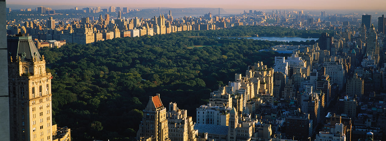 Sol sobre Central Park Lienzo