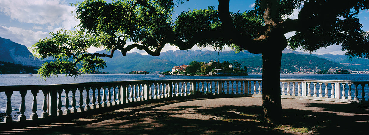 Árboles a lo largo del lago Maggiore Lienzo