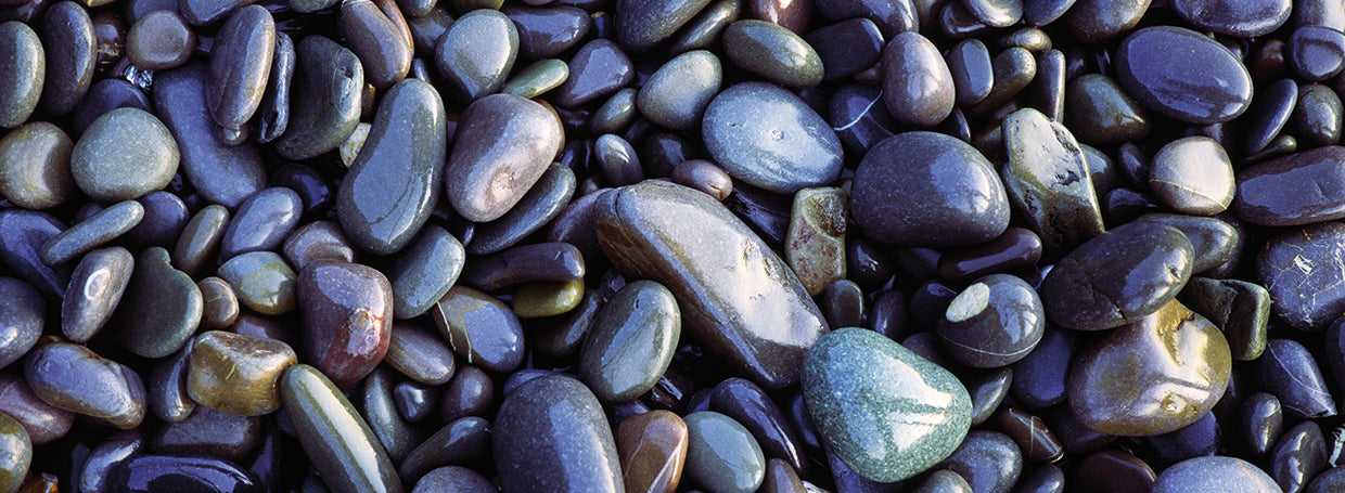 Guijarros de la playa de Sandymouth Lienzo