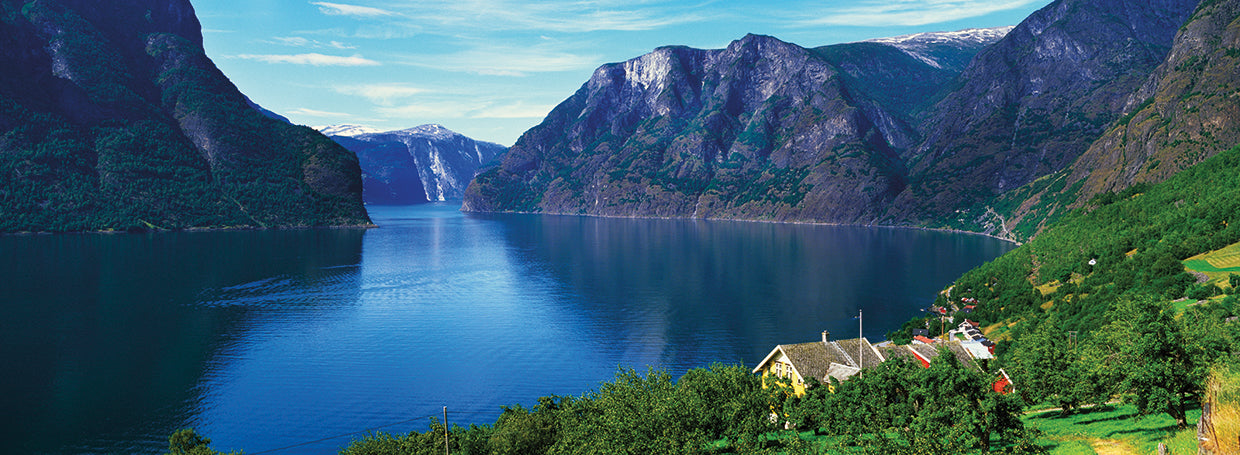 Grassy Norwegian Fjord