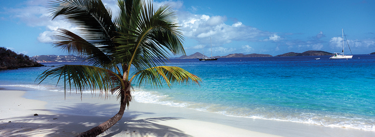 Palms on Salomon Beach