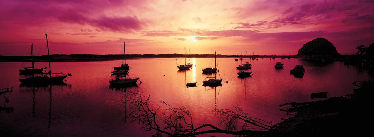Boats on Morro Bay