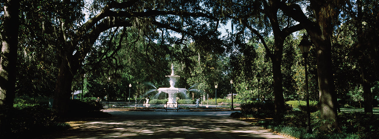 Fuente en Forsyth Park Lienzo