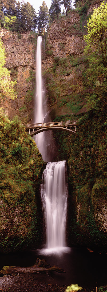 Mirador de Multnomah Falls Lienzo