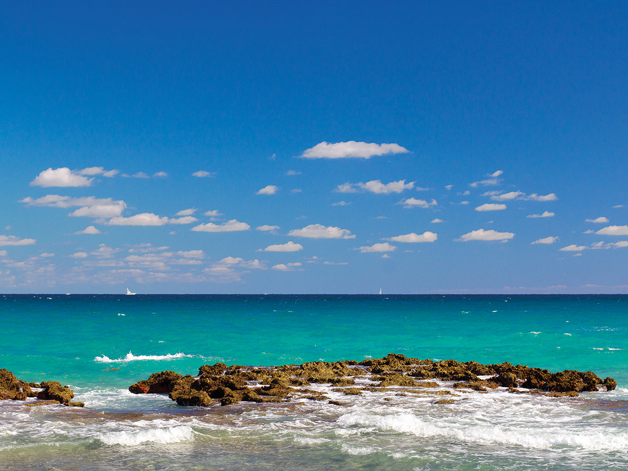 Surf on the beach, FL