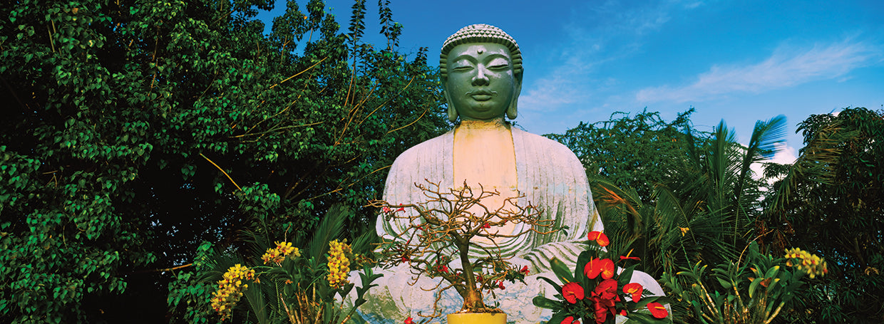 Buddha Statue in Maui